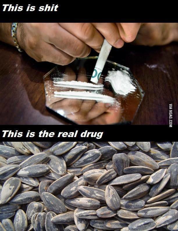 наркотики в семечках